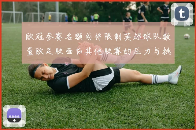 欧冠参赛名额或将限制英超球队数量欧足联面临其他联赛的压力与挑战